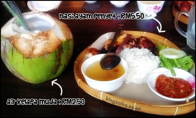 resepidemam2 resepidemam2