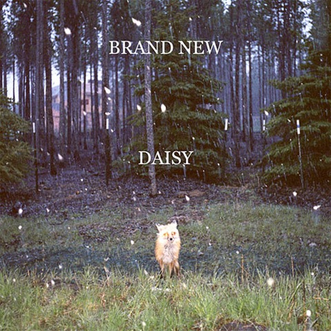 [brand_new-daisy[3].jpg]