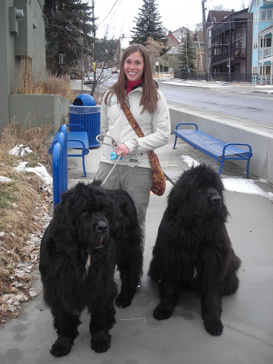 Newfie Heaven