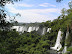Der Urwald in Iguazu