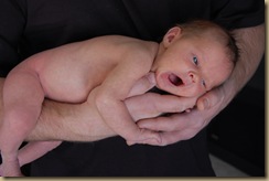 DSC_0063 DSC_0063