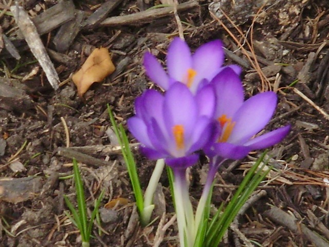 [20100321_190[2].jpg]