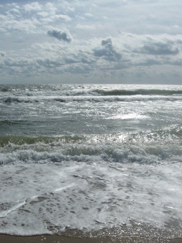 [ocean[2].jpg]