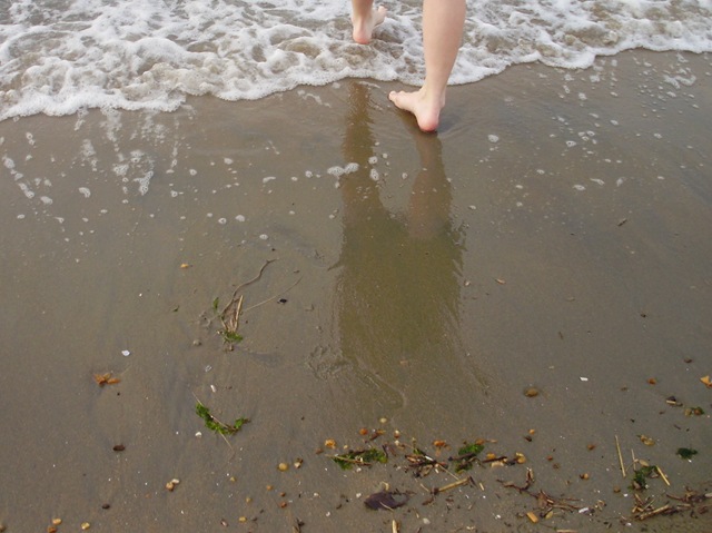 [P41012514.jpg]