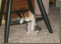 tired3