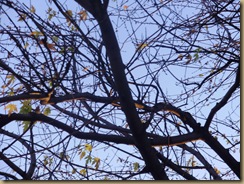 PB051233
