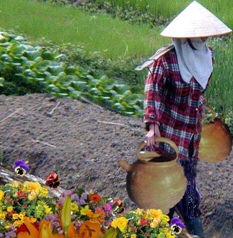 [cracked_pot_flowers2.jpg]