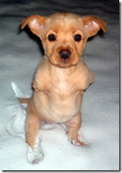 Faith_baby Faith_baby
