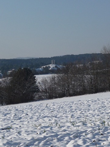 [P1050124[6].jpg]