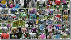 Elefanten Collage