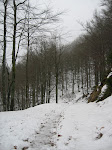 http://lh4.ggpht.com/_Vkwoux6RVCU/R8RTuMuHSVI/AAAAAAAABrI/BW7FWJVwdRI/Vosgesrando%20%28111%29.JPG