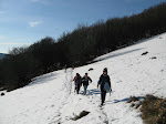 http://lh4.ggpht.com/_Vkwoux6RVCU/R8RWHMuHTSI/AAAAAAAABzA/LbQTrpeViQI/Vosgesrando%20%28236%29.JPG