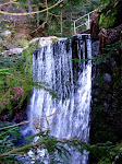 http://lh4.ggpht.com/_Vkwoux6RVCU/R8a1DsuHUpI/AAAAAAAACBM/eKfAw-42SGc/R2_493.jpg