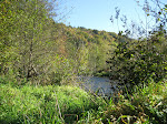 http://lh4.ggpht.com/_Vkwoux6RVCU/RxMteOqQD8I/AAAAAAAAAnI/fgod37QK_iA/WEGives%20082.jpg