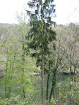 http://lh4.ggpht.com/_Vkwoux6RVCU/SB3wNY0dAXI/AAAAAAAADHo/fekEELRoj-4/Sure2008_149.JPG