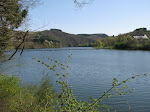 http://lh4.ggpht.com/_Vkwoux6RVCU/SB3xfY0dAyI/AAAAAAAADLI/Po9Fr0PHzh0/Sure2008_182.JPG
