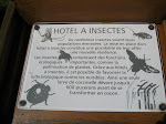 http://lh4.ggpht.com/_Vkwoux6RVCU/SB3zdY0dBNI/AAAAAAAADOo/P7yM1awWBOk/Sure2008_209.JPG