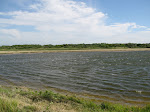 http://lh4.ggpht.com/_Vkwoux6RVCU/SGCiPUL2sxI/AAAAAAAAEjM/Sbu23V94XT4/Gravelines_066.JPG
