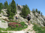 http://lh4.ggpht.com/_Vkwoux6RVCU/SNycoSIO_jI/AAAAAAAAFTk/IajArOri1Yk/MercantourJ1_012.JPG