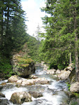 http://lh4.ggpht.com/_Vkwoux6RVCU/SNydnZ8SKMI/AAAAAAAAFWU/PrpZKzSwSgQ/MercantourJ3_008.JPG