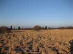 http://lh4.ggpht.com/_Vkwoux6RVCU/SVo2GcSwwqI/AAAAAAAAIGk/D_Etg-mvAG0/EupenBarrage%20038.jpg