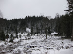 http://lh4.ggpht.com/_Vkwoux6RVCU/SYYimRqELEI/AAAAAAAAJEc/2rU9mH6zbko/Fagnes%20059.jpg