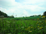 http://lh4.ggpht.com/_Vkwoux6RVCU/SiO-S-QlIBI/AAAAAAAAKfs/Pwj9xPyjamg/Nettine%20%28117%29.JPG