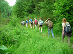 http://lh4.ggpht.com/_Vkwoux6RVCU/SiO-XjveNQI/AAAAAAAAKf0/oEy6xgt96ck/Nettine%20%28103%29.JPG