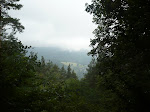 http://lh4.ggpht.com/_Vkwoux6RVCU/Sj6J1w7CEzI/AAAAAAAAKqI/zWtBqBqMZko/P1020988.JPG