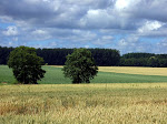 http://lh4.ggpht.com/_Vkwoux6RVCU/Sl2dzCAWx1I/AAAAAAAANlA/nAPRbEAB8ms/23.jpg