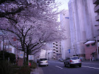 DSCN1811.JPG
