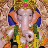 - @ GR8Telangana.com