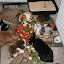  &ndash; Pebbles, Balthasar, Wickie, Lucy, Kaylin, Lorelai, Nylah, Bolek, Sookie (v.l.uzs)