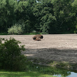 Tierpark Berlin am 23. August 2007