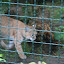 Tierpark Berlin am 23. August 2007 &ndash; 