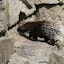  &ndash; 