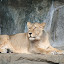Tierpark Berlin am 23. August 2007 &ndash; 