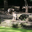 Tierpark Berlin am 23. August 2007 &ndash; 