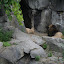 Tierpark Berlin am 23. August 2007 &ndash; 