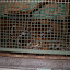 Tierpark Berlin am 23. August 2007 &ndash; 