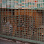 Tierpark Berlin am 23. August 2007 &ndash; 