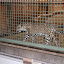 Tierpark Berlin am 23. August 2007 &ndash; 