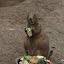 Tierpark Berlin am 23. August 2007 &ndash; 