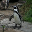 Tierpark Berlin am 23. August 2007 &ndash; 