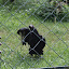 Tierpark Berlin am 23. August 2007 &ndash; 
