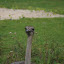 Tierpark Berlin am 23. August 2007 &ndash; 