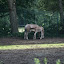 Tierpark Berlin am 23. August 2007 &ndash; 