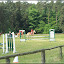 14. Speckreiten in Röbel/Müritz – 14. Speckreiten in Röbel/Müritz –