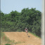 Motocross Schenkenhorst – Motocross Schenkenhorst –