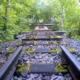Geocaching in der Wuhlheide